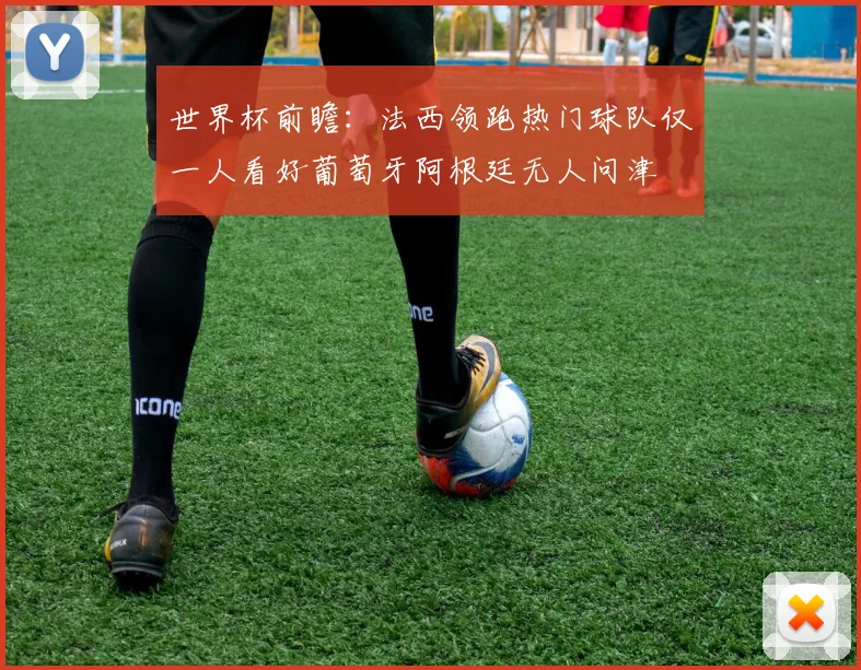 世界杯前瞻：法西领跑热门球队仅一人看好葡萄牙阿根廷无人问津