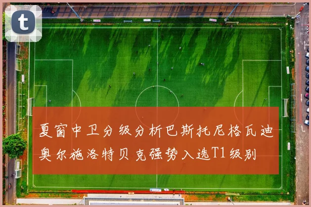夏窗中卫分级分析巴斯托尼格瓦迪奥尔施洛特贝克强势入选T1级别